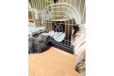 写真5547_1