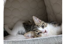 写真5548_1