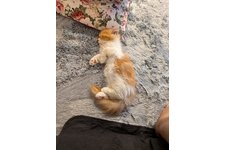 写真5550_3