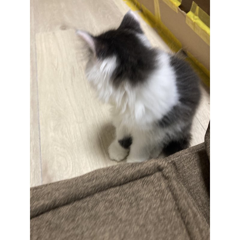写真5551_1
