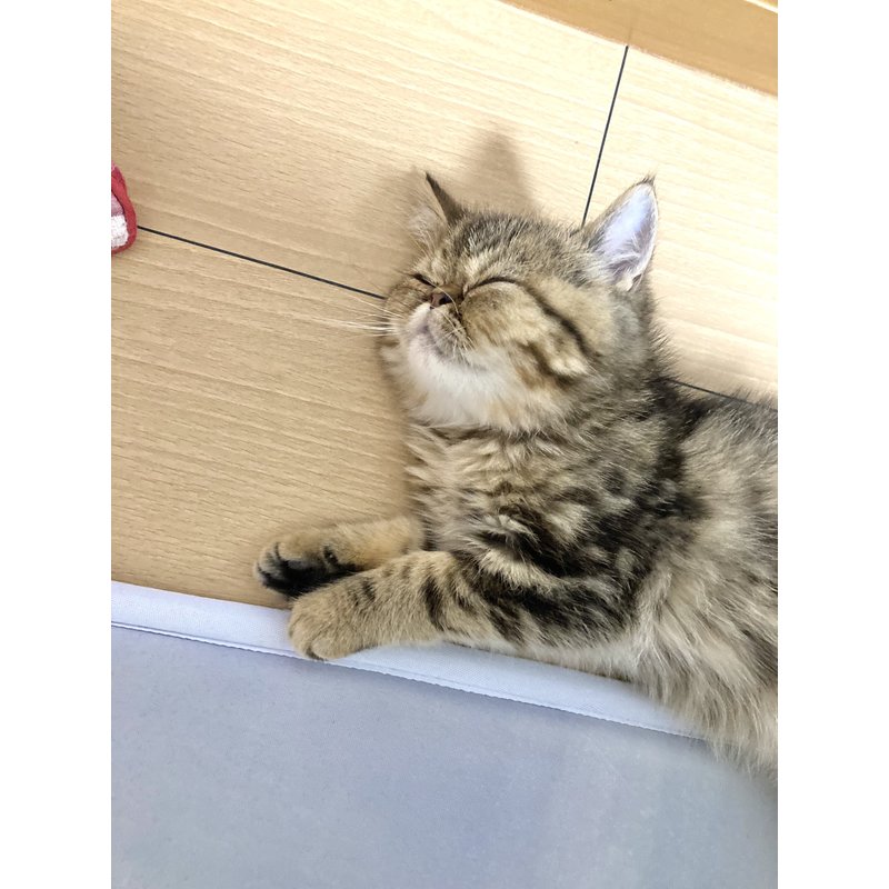 写真5554_3