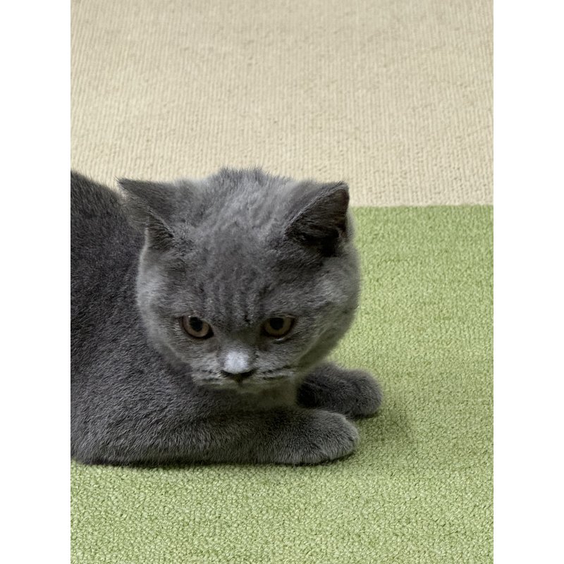 写真5557_1