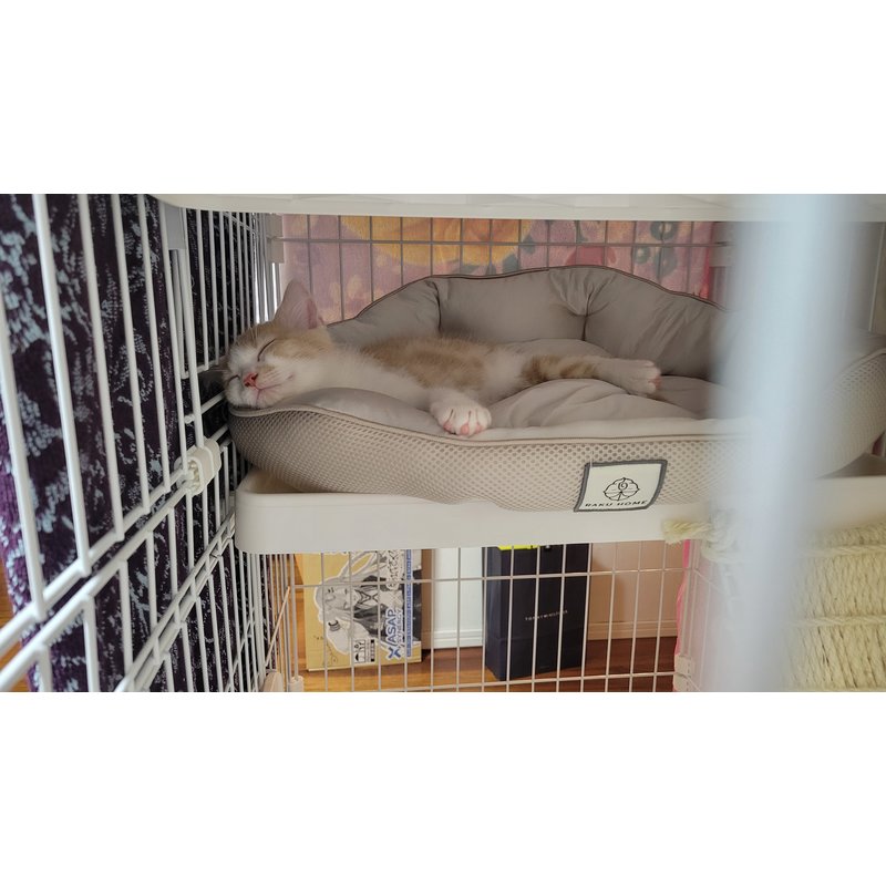 写真5560_3
