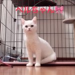 写真5566_1