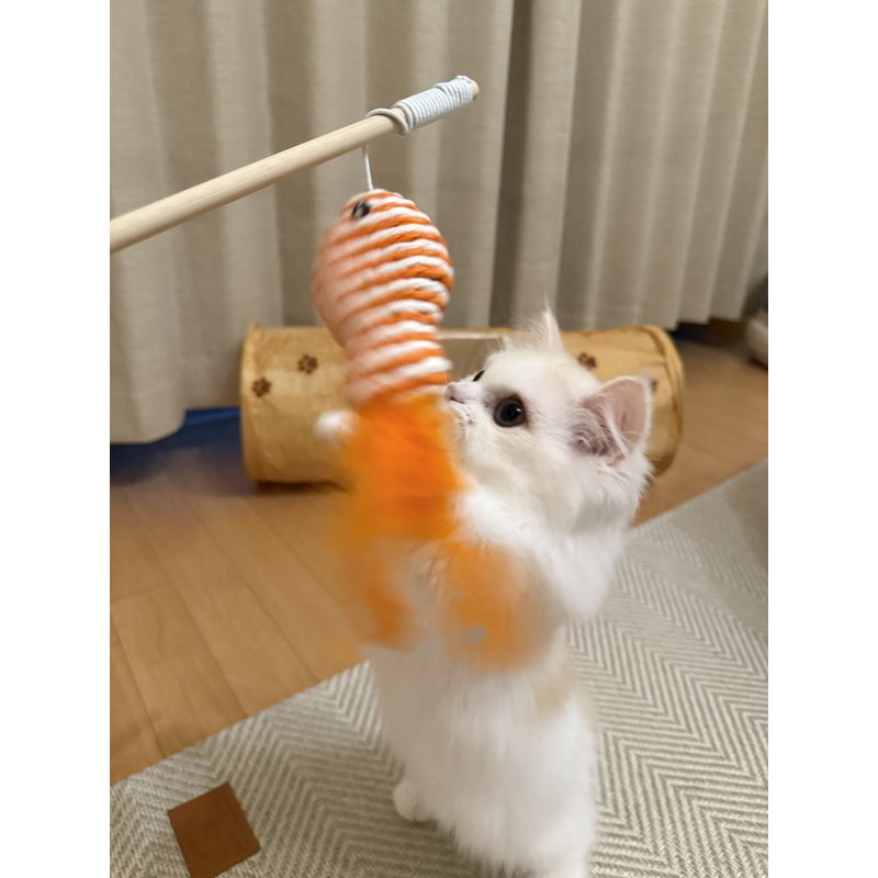 写真5569_1
