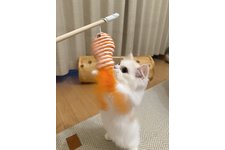 写真5569_1