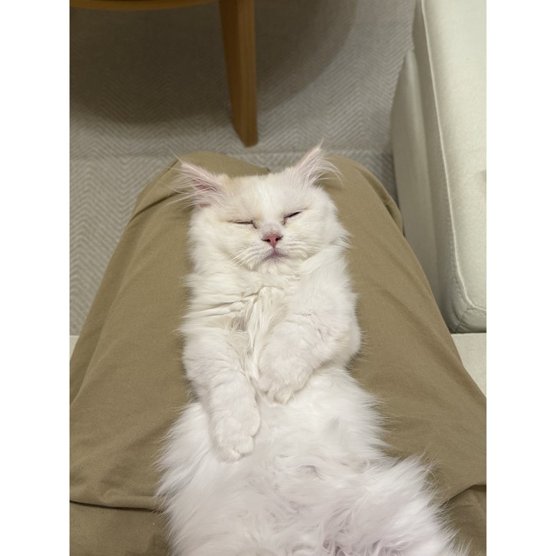 写真5569_2