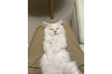 写真5569_2