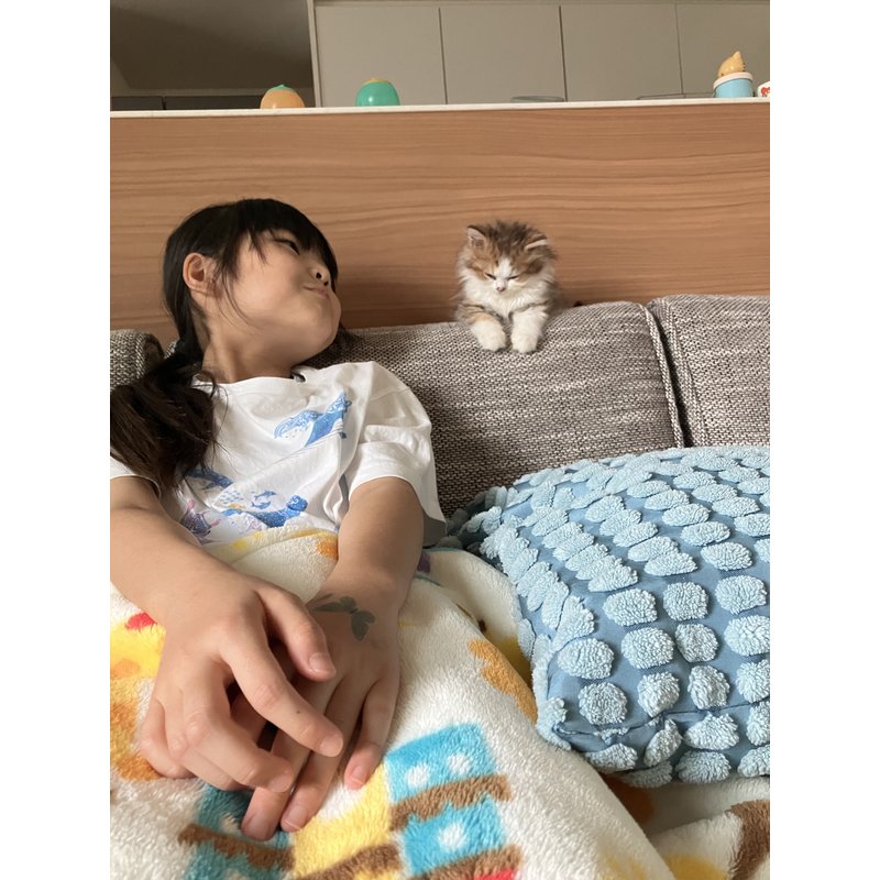 写真5571_2