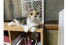 写真5593_2