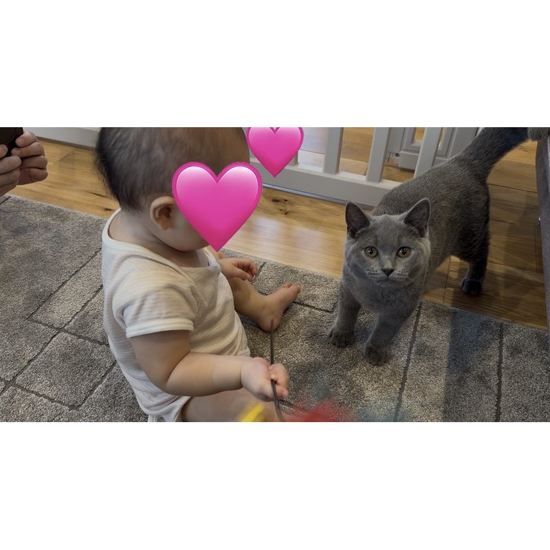 写真5595_1
