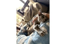 写真5596_4