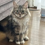 写真5598_1