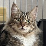 写真5598_3