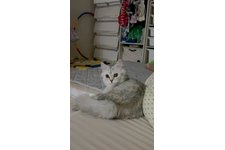 写真5601_1