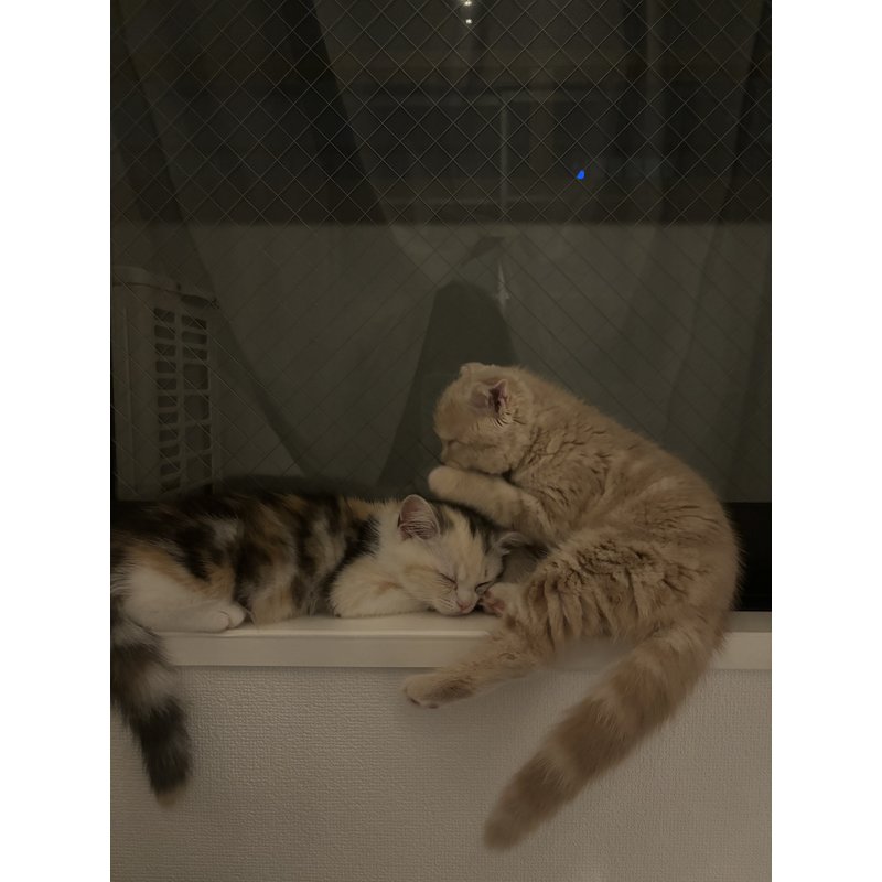写真5632_1