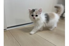 写真5651_1
