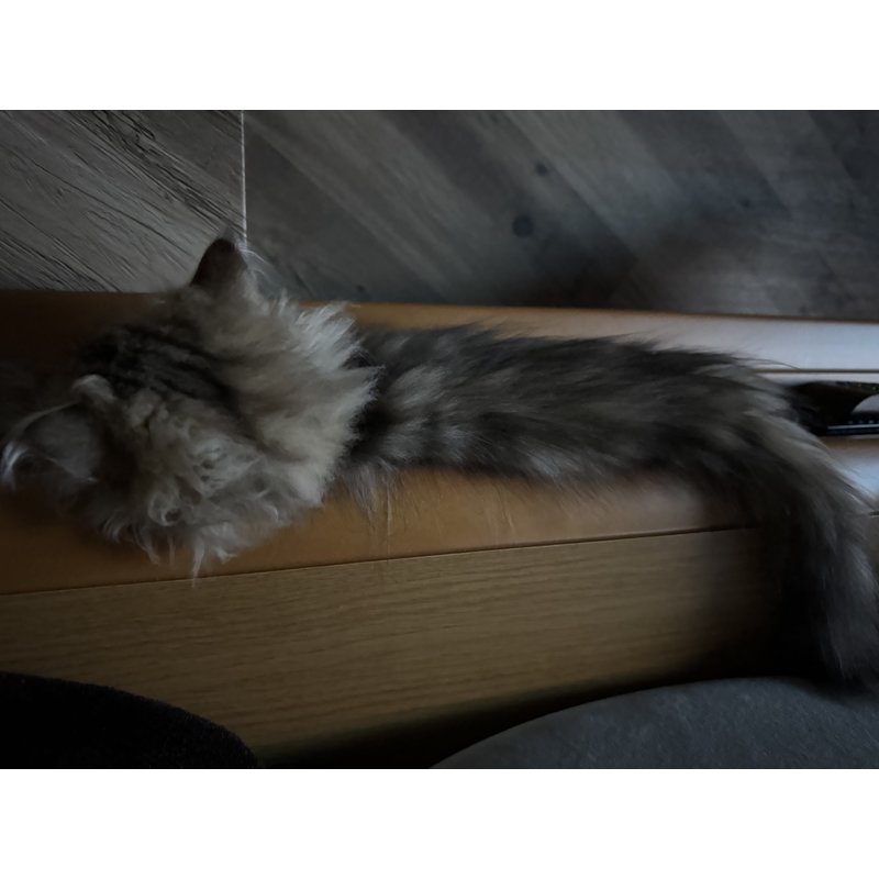 写真5655_4
