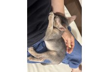 写真5659_3
