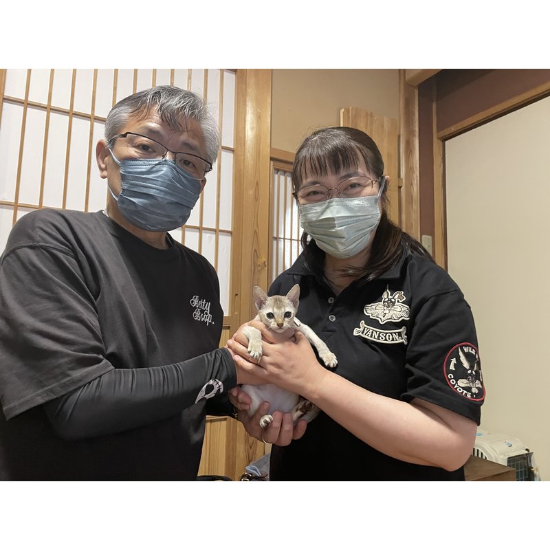 写真5667_3