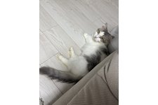 写真5668_4