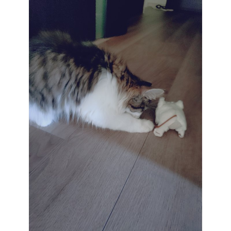 写真5669_2