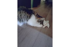 写真5669_2