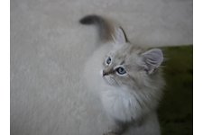 写真5670_1