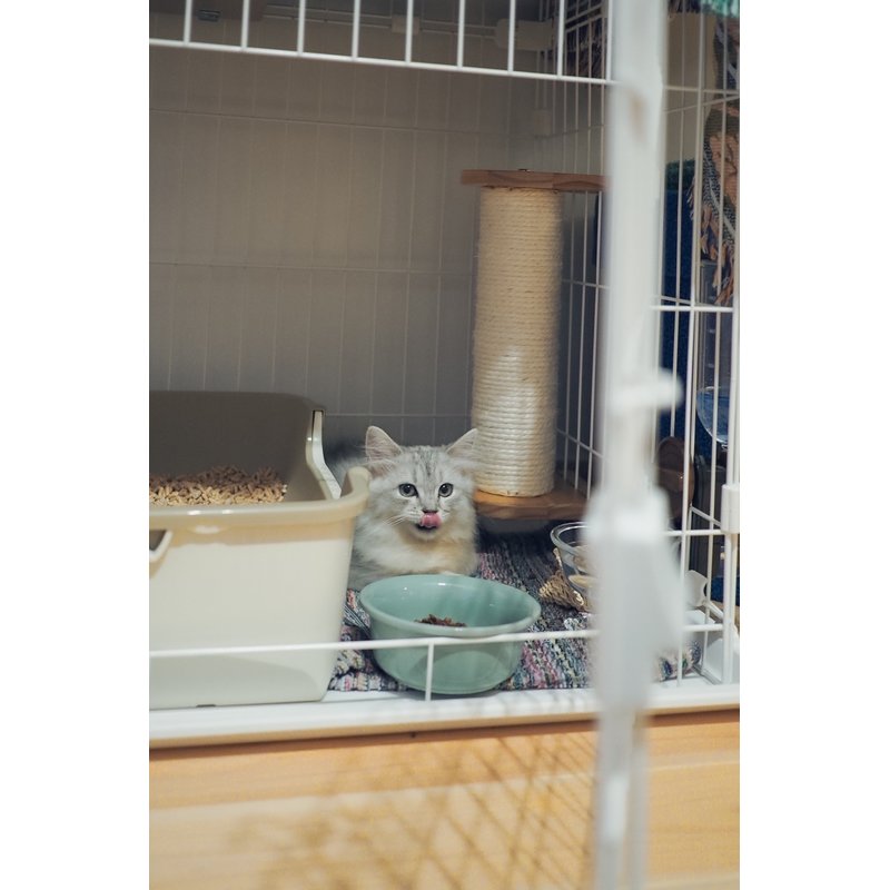写真5671_1