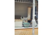 写真5671_1