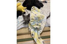 写真5685_1