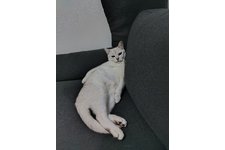 写真5700_3