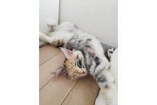 写真5748_1