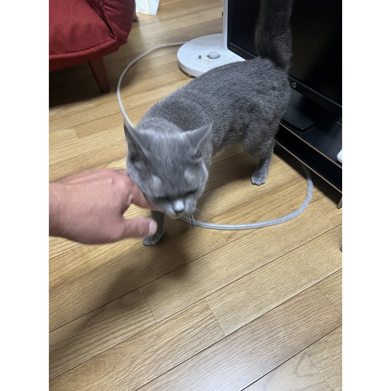 写真5749_3
