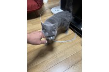 写真5749_3