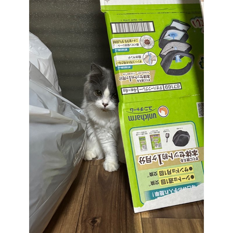 写真5760_2