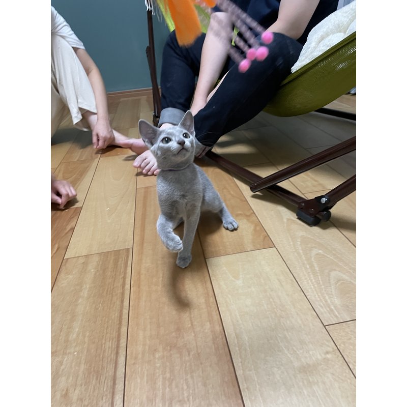 写真5765_1