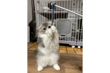 写真5767_3