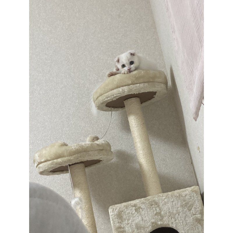 写真5780_1