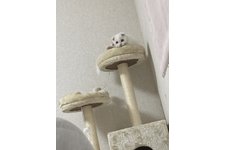 写真5780_1