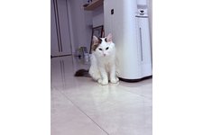 写真5783_1