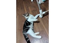 写真5784_2