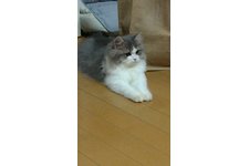 写真5824_1