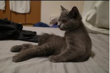 写真5836_2