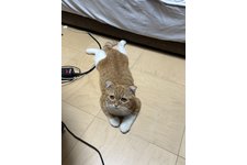 写真5844_1