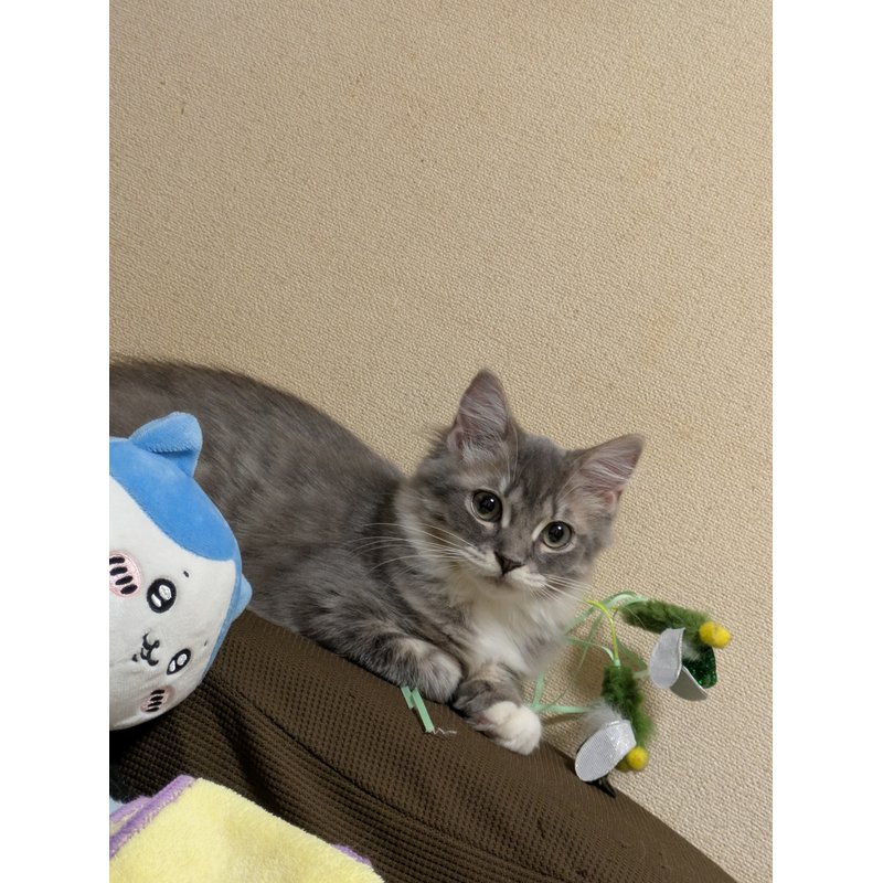 写真5848_1