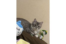 写真5848_1