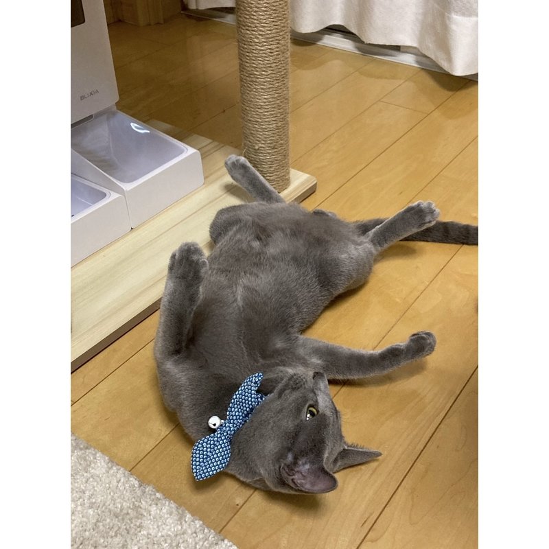 写真5849_2