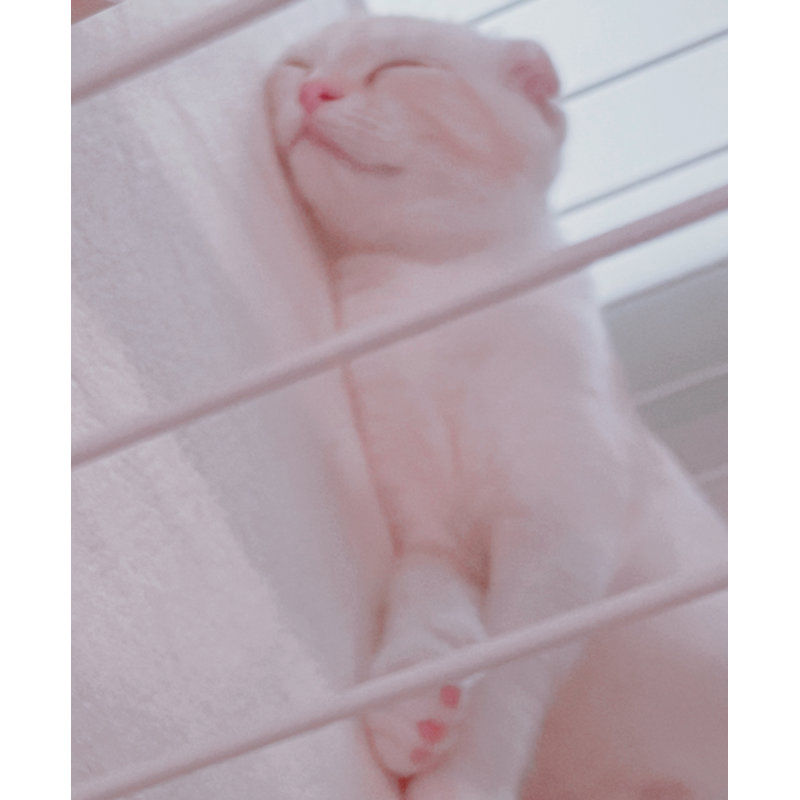 写真5852_3