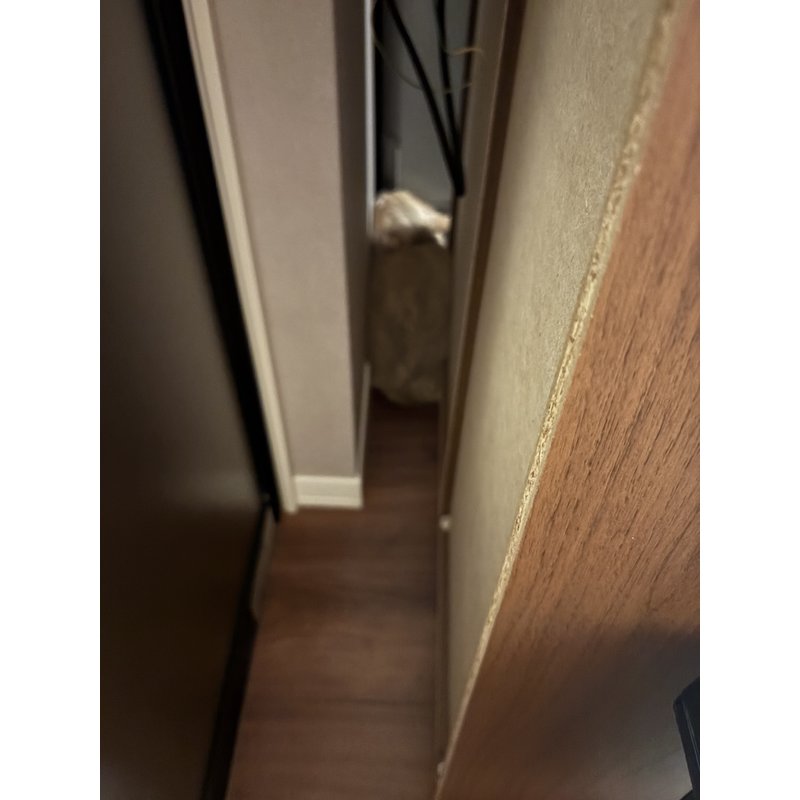 写真5864_2